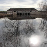 Las Tablas de Daimiel reviven (fotos)
