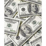 Dame una prueba de la evolución por 250.000 dólares