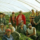 ¿Por qué necesitamos traer 3.000 trabajadores inmigrantes para recoger la fresa?