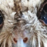 La Banda Ancha Cuántica logra su primera prueba exitosa