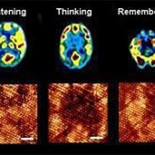 Producen las primeras neuronas artificiales