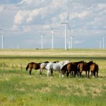 El Pentágono frena tres parques eólicos de Iberdrola en EEUU