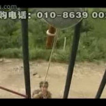 La pala china multiuso que arrasará en ventas