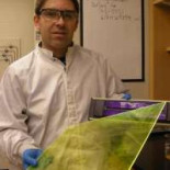 El científico asturiano Amador Menéndez logra en el MIT la mayor eficacia en la captura de energía solar