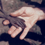 Una fotografía desgarradora