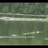 ¿Por qué las piedras rebotan en el agua?