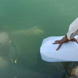 Ganges, o la incompatibilidad entre religión e higiene