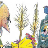 Perder a una mascota puede causar igual angustia que el fallecimiento de una persona querida