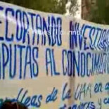 Descubren que las orcas son tres especies distintas