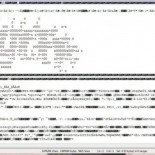 La versión de Max Payne 2 de "Steam" es pirata