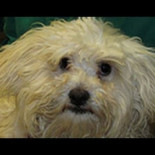 Sólo necesitaba un abrazo