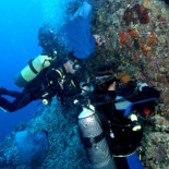 ¿Cuáles son los tres únicos fármacos desarrollados en España?