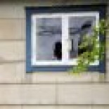 Queman la casa del dibujante que retrató a Mahoma como un perro