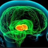 La creatividad es muy similar a la locura, dicen científicos que han estado estudiando la forma en la que opera la mente