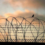 Israel obliga a los activistas a renunciar al derecho de apelación