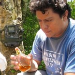 Hallan un perfume para hombre de Calvin Klein que atrae irresistiblemente a todas las especies de grandes felinos [EN]