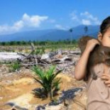 Organizaciones ecologistas se movilizan contra la construcción de una mina abierta en un parque natural de Galicia