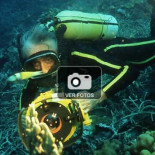 Hace cien años nació Jacques Cousteau, el hombre que nos 'regaló' el mar