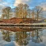 Japón está sobornando a la Comisión Ballenera cara a la trascendental votación sobre la moratoria [ENG]