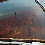 El Senado de Louisiana propone rezar para detener el vertido de petróleo