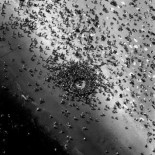 Accidente en la playa