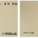 Por qué un barco sin motor se mueve en agua salada pero no en agua dulce