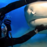 Fallece a los 66 años Pete Quaife, bajista original de The Kinks