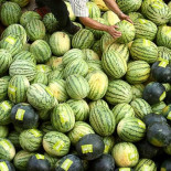 Una sandía en origen cuesta 48 céntimos y en el súper la pagamos a 4,80 euros (+450%) [Estudio de COAG]