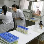 Las tesis doctorales tendrán que hacerse en tres años