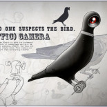 Nadie sospecha de la cámara-pájaro de tráfico