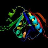 Un programa informático burla la resistencia de las bacterias a los medicamentos