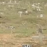 Álvaro Uribe: Las fosas comunes son 'calumnias' de los enemigos de la 'seguridad democrática'