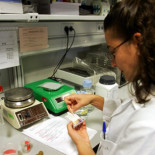 Ciencia e Innovación rebaja en 50 millones los proyectos de investigación