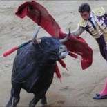 La prohibición de corridas de toros en Cataluña, según la BBC (ENG)