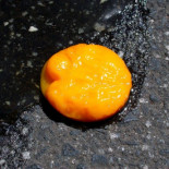 ¿El calentamiento global un cuento? La NASA dice que 2010 terminará siendo el año más caluroso en la historia