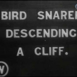 Y las islas Saint Kilda se quedaron solas