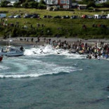 Matanza anual de ballenas en Dinamarca