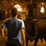 Mas blindará los «correbous»