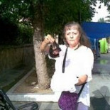 Le tiran orejas de becerros a su casa por antitaurina