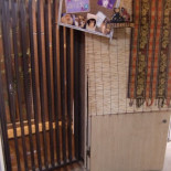 Si te gustan los gatos, esta es tu cafetería