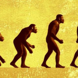 La evolución del ser humano le ha hecho vulnerable a la diabetes y a la artritis (ING)