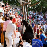 Los animalistas piden alejar a los niños de las fiestas taurinas