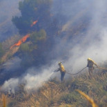 2010 es el año con menos hectáreas quemadas de la década