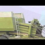 Todos quieren ser como Bob Esponja [Humor]