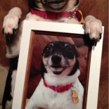 Un hombre pasa 62 años construyendo una armada de 432 buques de guerra con cerillas