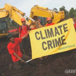 Burger King rompe sus relaciones con Sinar Mas, la principal empresa destructora de las selvas de Indonesia