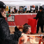 El Parlamento andaluz desoye a los antitaurinos