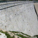 Unas cabras dando un paseo
