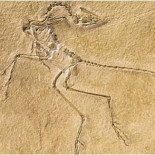 Las razones que convierten al finlandés en uno de los idiomas más difíciles del mundo