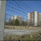 ¿Por qué no murieron las plantas en Chernobyl?